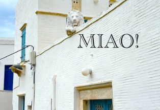 MIAO!