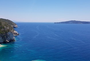Antipaxos