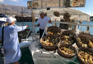 Bildergalerie Kalymnos
