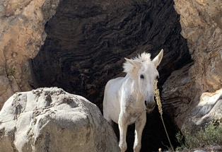 Westkreta, Samaria-Schlucht