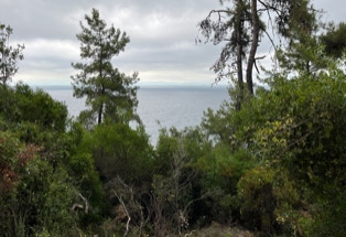 Grüne Insel Thassos