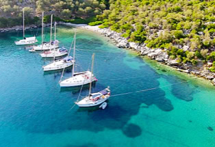 Seglerspot, Peristera