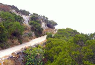 alter Eselspfad auf Amorgos