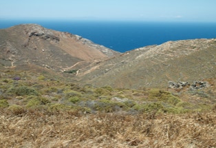 Blick über kargen Felsbewuchs vom top der Insel Anafi aufs blaue Meer