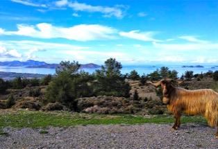 Blick auf Kalymnos und Pserimos von Kos