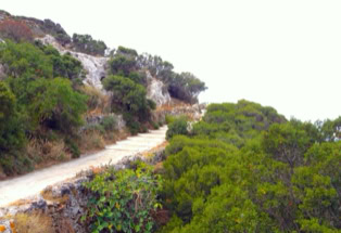 alter Eselspfad auf Amorgos